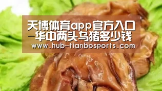 天博体育app官方入口