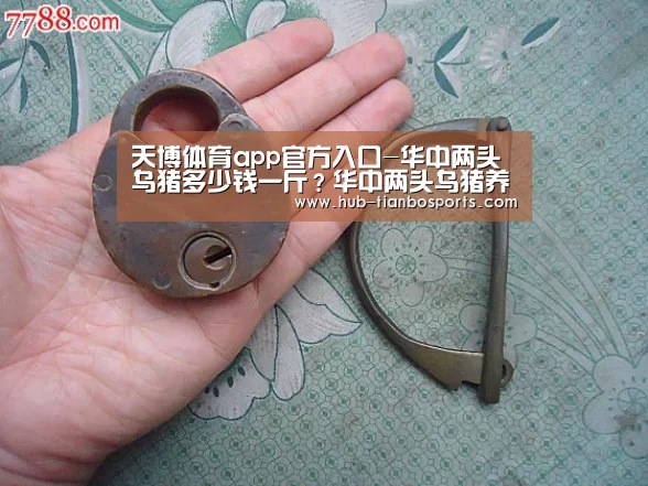 天博体育平台官网