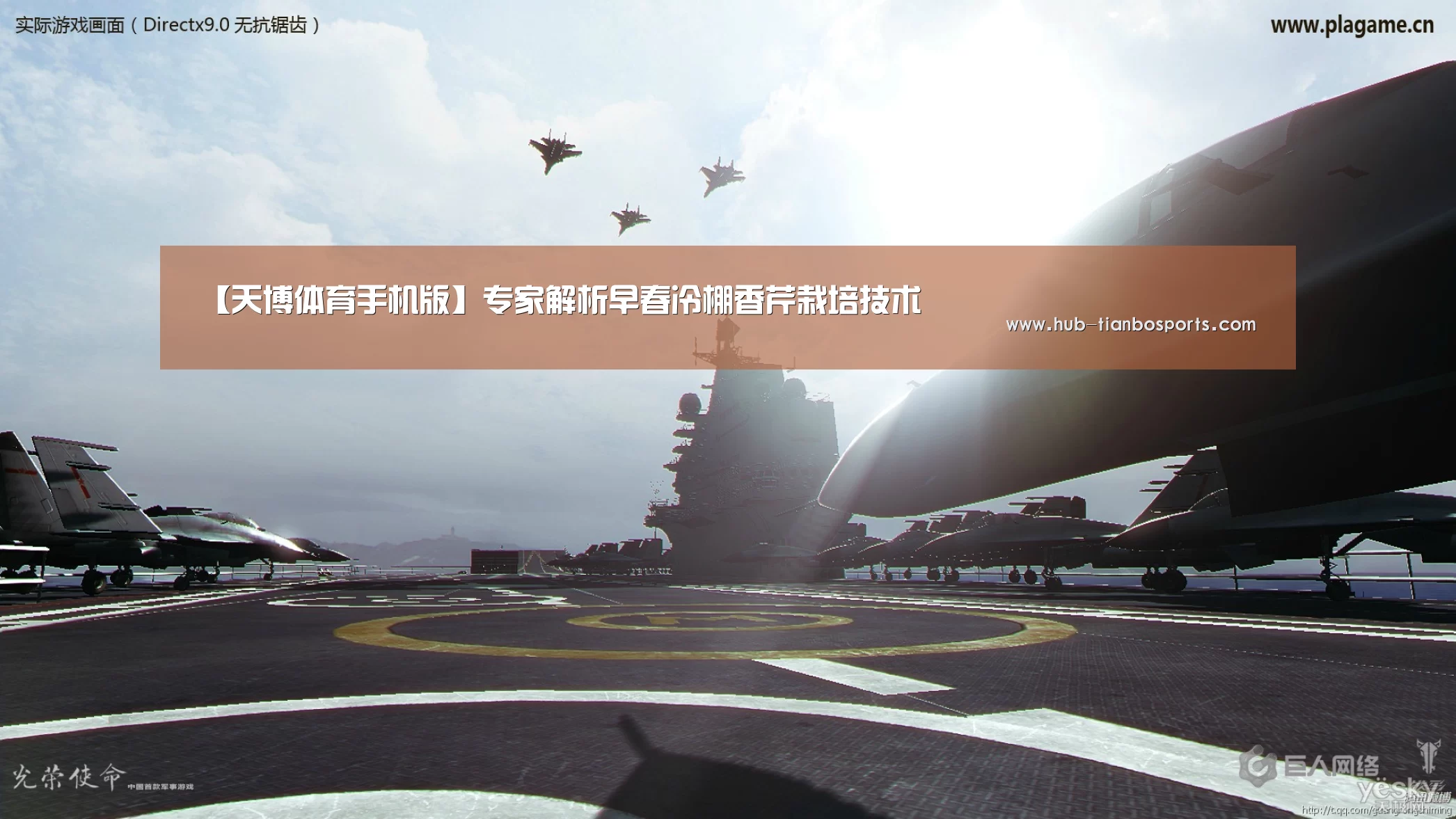 【天博体育手机版】专家解析早春冷棚香芹栽培技术(图1) 天博体育入口