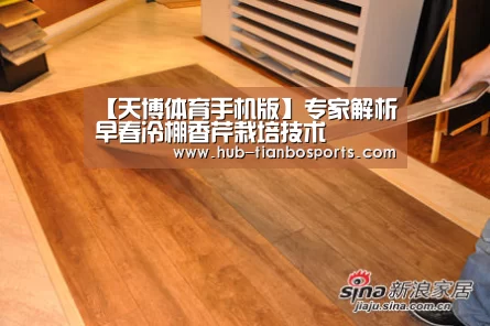 【天博体育手机版】专家解析早春冷棚香芹栽培技术(图2) 天博体育平台官网