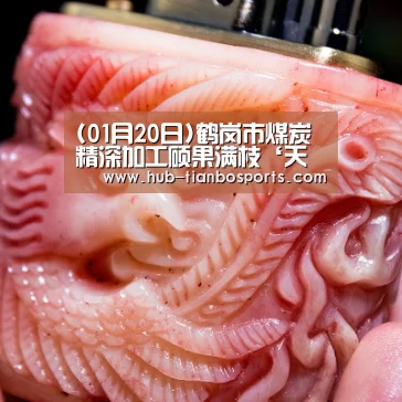 天博体育app官方入口