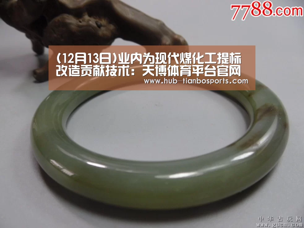 (12月13日)业内为现代煤化工提标改造贡献技术:天博体育平台官网(图1) 天博体育平台官网