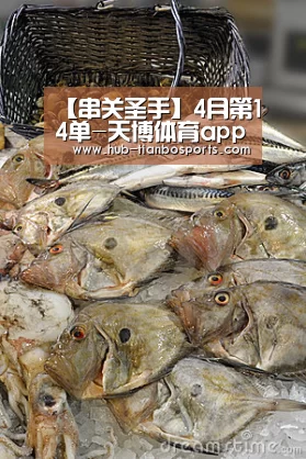 【串关圣手】4月第14单-天博体育app官方入口(图2) 天博体育手机版